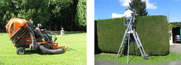 Entretien d'espaces verts près de Rennes Entretien d'espaces verts près de Rennes